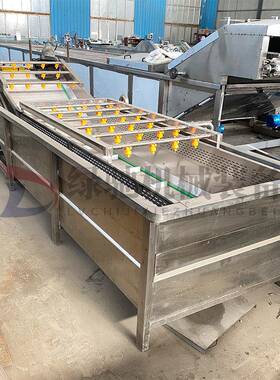 果蔬气泡清洗机去农药残留高压喷淋式清洗设备山楂苹果清洗机