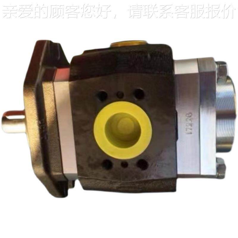 德国艾可勒ECEKERLE注塑折弯机油泵液压齿轮泵IP3OWVS2/EIPEC/IPC