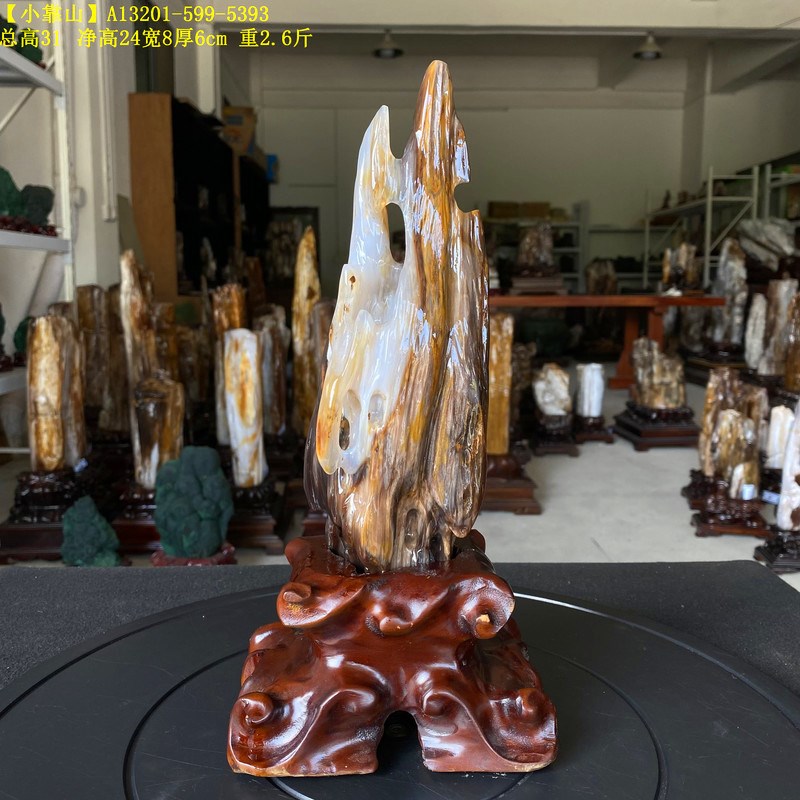 树化玉摆件木化玉石原石观赏矿奇石家居办公桌面摆件装饰多款可选