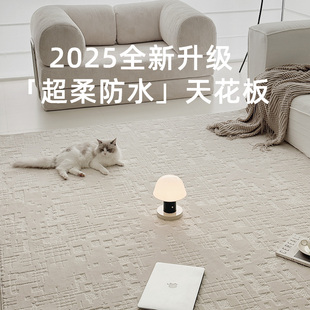 客厅地毯免洗可擦奶油风卧室床边垫定制意式 超柔防水2024新款 极简