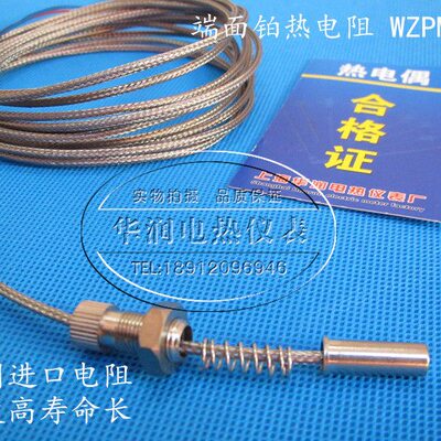 端面热电阻WZPM-201/201B 适合各种小型传感器( 电机专用) 热电偶