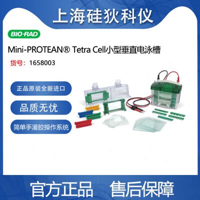 Bio-Rad伯乐小型垂直电泳槽Mini-PROTEAN Tetra Cell 1658001