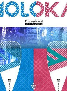 MOLOKAI碳纤维桨碳桨SUP桨板3节专业桨