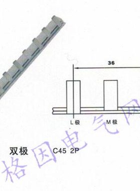 2P 32A 1.0厚 C45 DZ47/2P 汇流排 母线排 连接排 连接条 紫铜