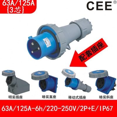 CEE63A220V防水插头检修箱插座125A公母对插TYP-0332/3332/2332