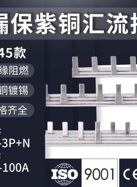 DZ47LE/3P+N漏电1P/2P/3P/4P C45空气开关63A紫铜汇流排接线端子