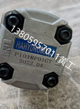 齿轮泵P101RP01G P102RP01G P127RP01G P135RP01G P104RP01G GT