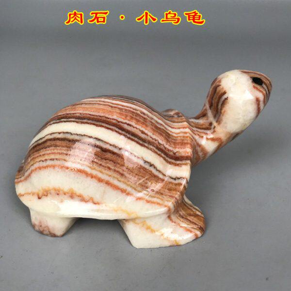 肉石原石小乌龟卡通石富贵石七彩石景观石观赏石鱼缸盆景奇石摆件