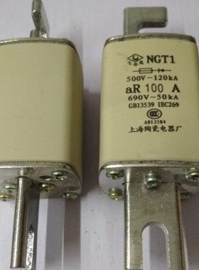 上海陶瓷电器厂 飞凰牌 快速熔断器 NGT1 125A 160A 100A 80A熔芯