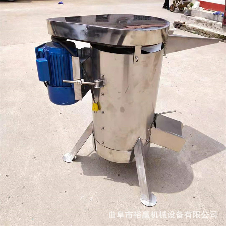 大型荔枝立式去核机 李子梨子肉核分离机 商用大容量脱核设备