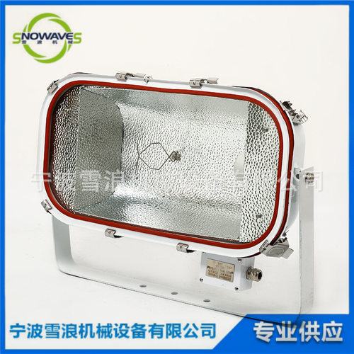 不锈钢高压钠灯1000W TG13船用投光灯 甲板照明灯具IP67