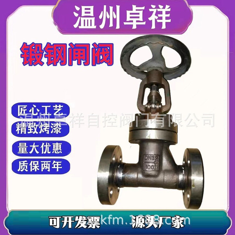 高温高压闸阀 电站耐高温高压闸阀 电站闸阀 Z41Y,五金/工具,截止阀,淘宝优惠券,粉丝福利购,淘宝优惠卷