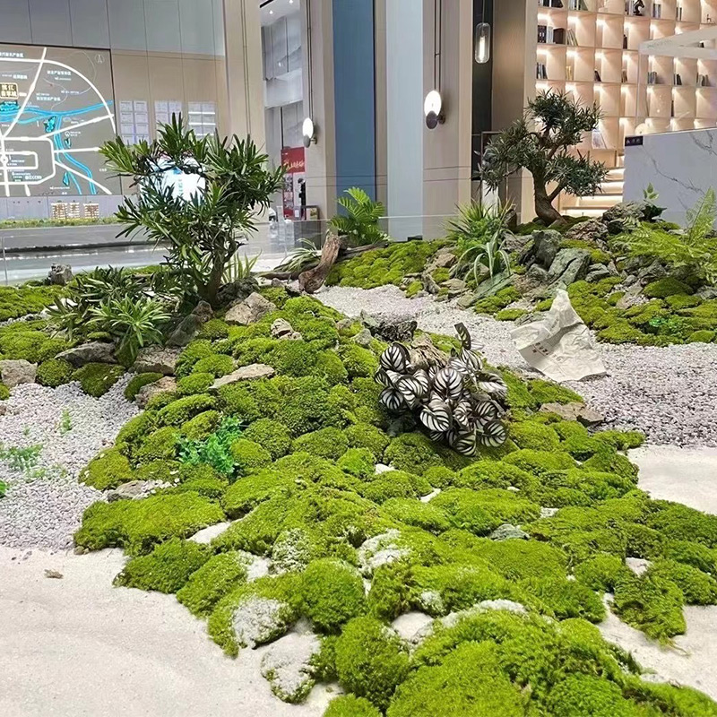 仿真青苔永生苔藓植物墙面鹿角藓白发藓大灰藓室内微景观造景草坪