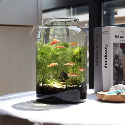 生态鱼缸微景观玻璃鱼缸办公桌面生态瓶免换水diy材料作业自循环