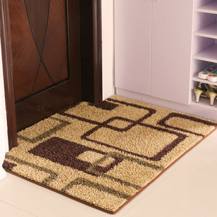 入户门地垫进门门垫客厅毯子地毯居家用毛毯垫子防水脚垫防滑定制