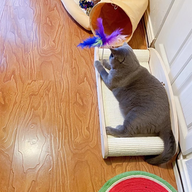 猫抓板不掉屑耐抓耐磨剑麻猫窝防猫抓沙发实木贵妃一体大号猫玩具