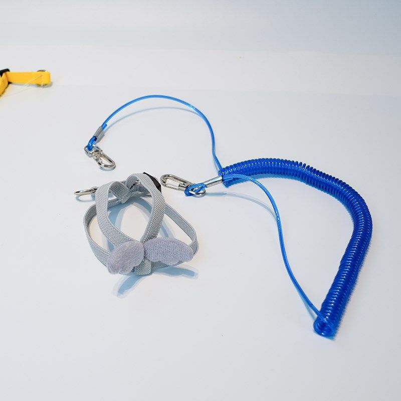 鸟用鹦鹉放飞绳玄凤虎皮牡丹牵引绳飞行外出背带遛鸟神器用品玩具,宠物/宠物食品及用品,鸟用放飞绳,淘宝优惠券,粉丝福利购,淘宝优惠卷