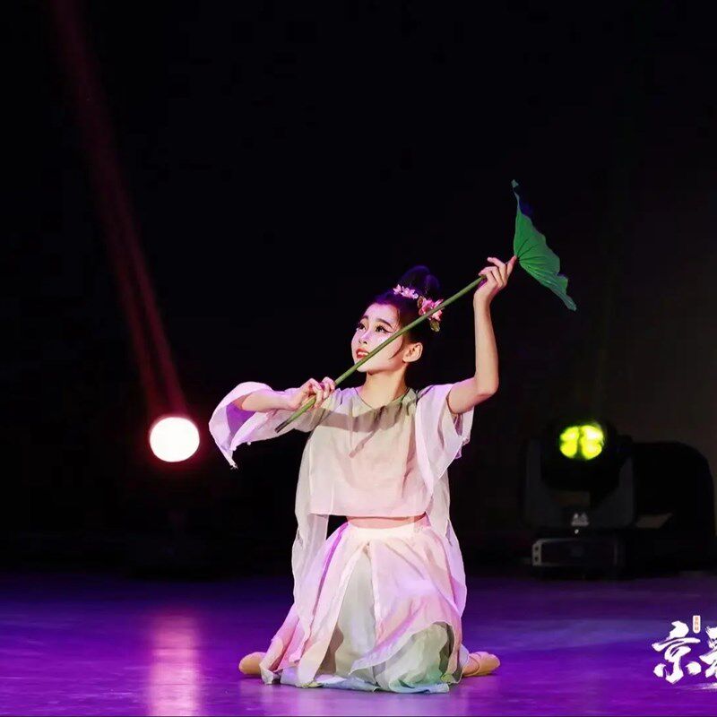 儿童古典舞簪花引演出服荷花醉花荫桃花笺伞舞采莲中国风舞蹈服女