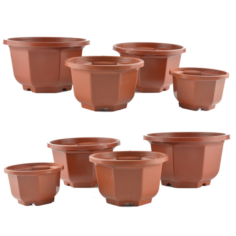 吊兰吊蓝八角花盆塑料悬挂壁挂带吊钩挂钩情人泪佛珠多肉小盆包邮