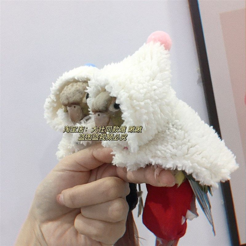 羊贵妃款鸟衣服鹦鹉披风斗篷加厚保暖外出鹦鹉用品,宠物/宠物食品及用品,鸟禽服饰,淘宝优惠券,粉丝福利购,淘宝优惠卷