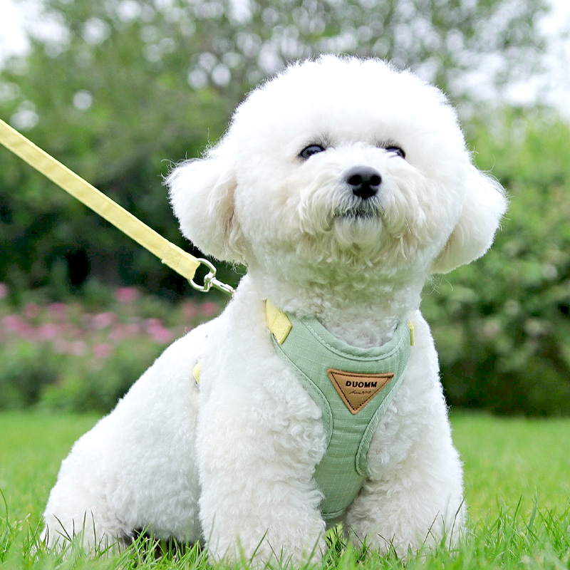 背心式狗狗牵引绳小型犬泰迪比熊博美透气胸背带小狗遛狗绳狗链子