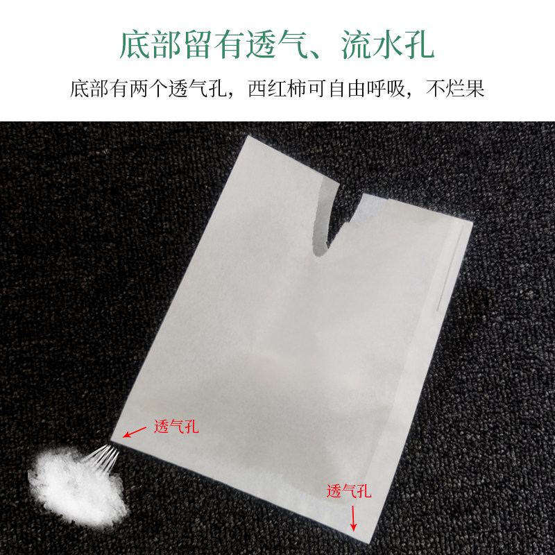 无花果套袋专用袋杏子纸袋包果袋水果保护套李子防虫防鸟防雨防水,鲜花速递/花卉仿真/绿植园艺,其它园艺用品,淘宝优惠券,粉丝福利购,淘宝优惠卷