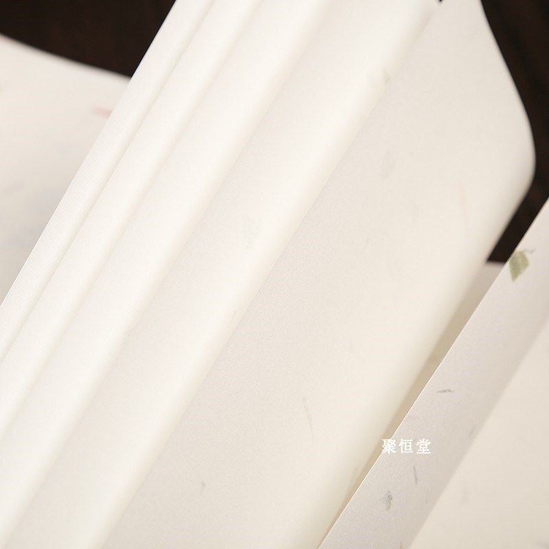 安徽半生半熟红花茶叶花草宣纸书法专用纸毛笔书法创作专用复古纸