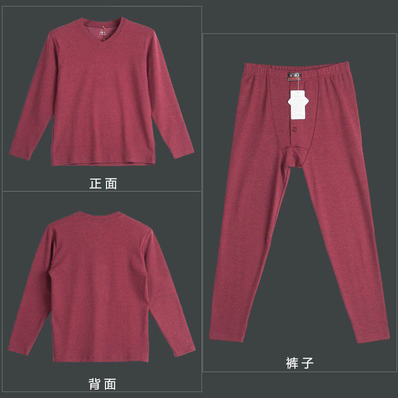 色拉姆保暖内衣男加厚套装V领纯棉秋衣秋裤冬季打底青年单件上衣