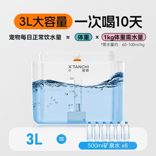 女神节定制款小甜橙猫咪饮水机无线不插电宠物喝水器饮水器