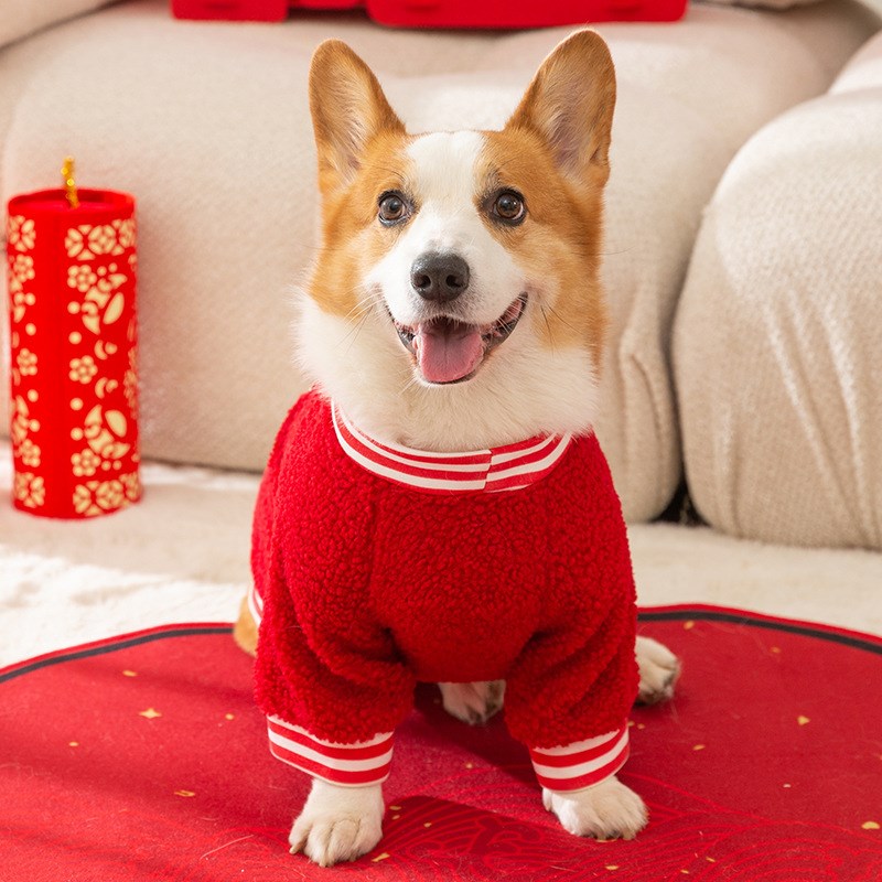 可爱柯基衣服红色喜庆拜年狗狗两脚衣柴犬法斗雪纳瑞过年宠物绒衣