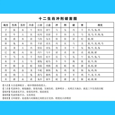 十二生肖六合三合相生相克图相刑冲破害天干地支表对照表装饰画
