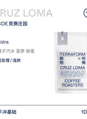 【Terraform】24产季“豆种漫邮”厄瓜多尔Sidra蜜处理咖啡豆