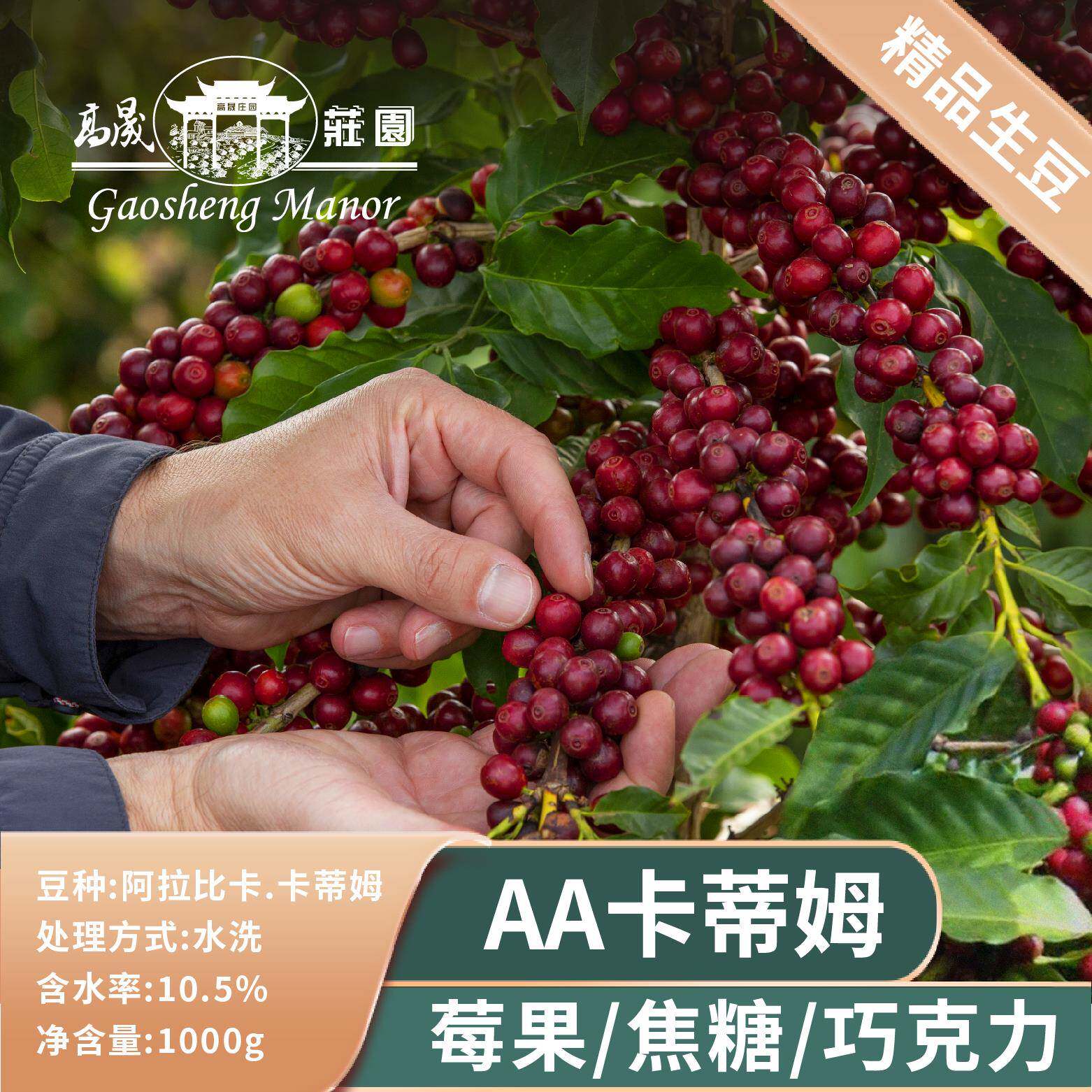 高晟庄园 AA阿拉比卡 云南咖啡生豆1000g水洗卡蒂姆手冲富油脂
