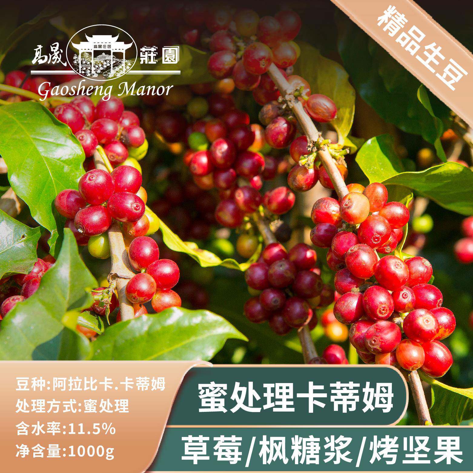 高晟庄园 蜜处理咖啡生豆 云南咖啡豆甜感手冲美式浓缩意式油脂