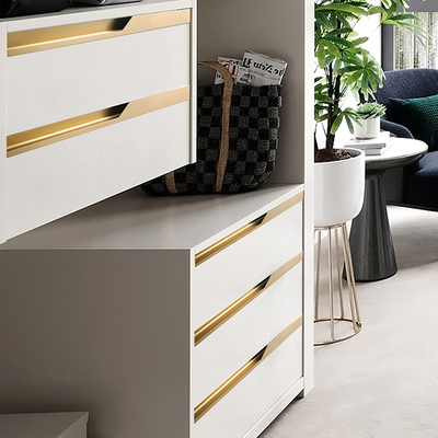 隐形拉手免开槽一门到顶闪电款大衣柜门轻奢加长橱柜抽屉暗藏把手