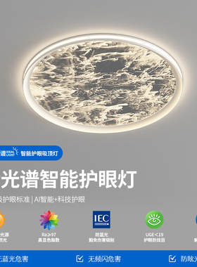 帕莎卧室灯2025新款极简云雾高级感房间灯书房灯主卧超薄吸顶灯