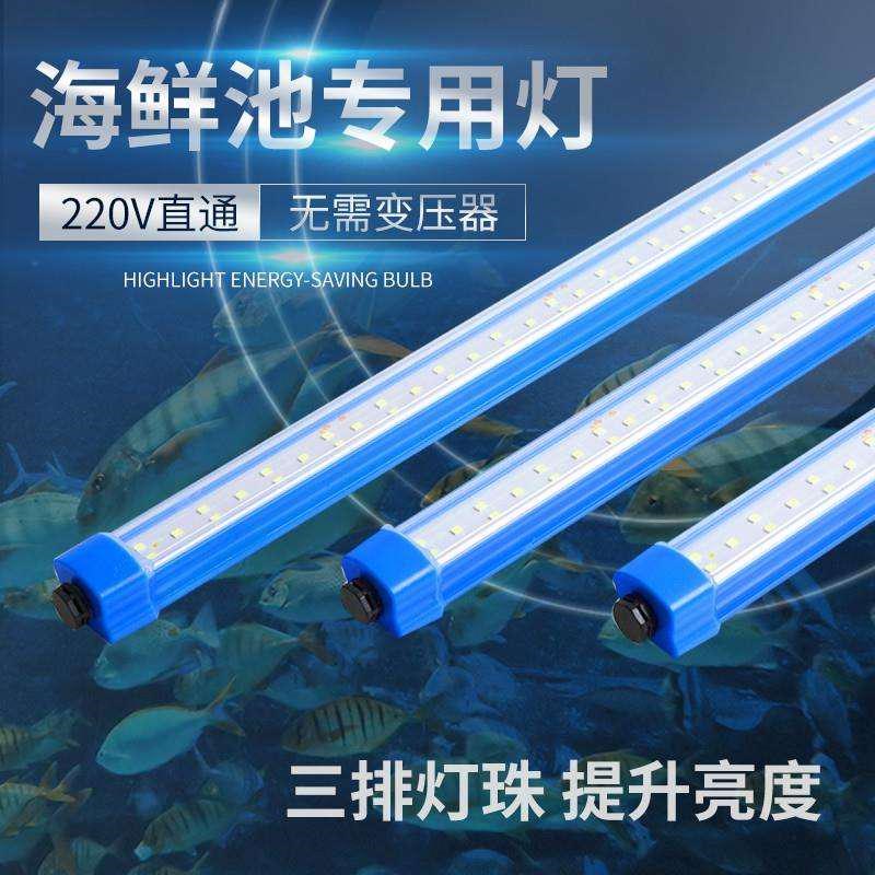 海鲜池专用灯条水产照明灯220防水补光灯蓝色饭店鱼缸虾池灯