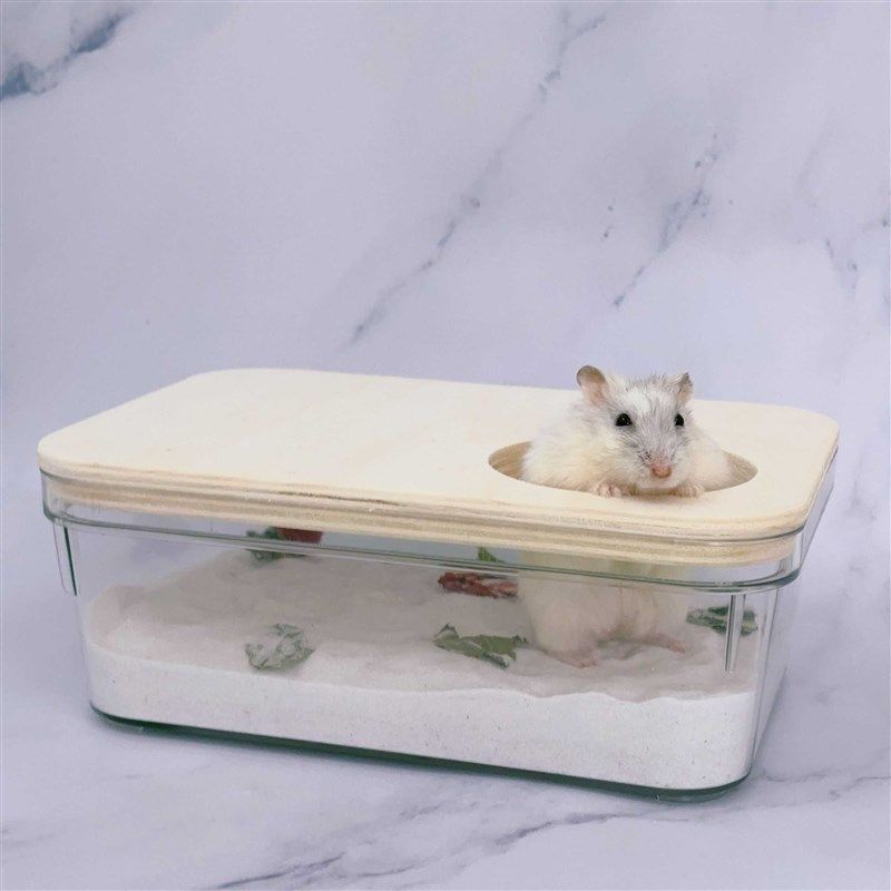 爱吉宠仓鼠太空舱浴室厕所两用洗澡浴盆尿盆尿沙盆浴沙房造景用品