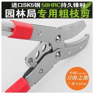修枝剪树枝专用剪刀园艺大剪刀果树修枝修剪树枝园林剪刀粗枝剪