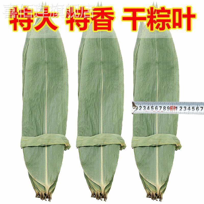 粽叶免邮新鲜大箬叶端午节特大本地棕叶包粽子的叶子粽子叶干大号