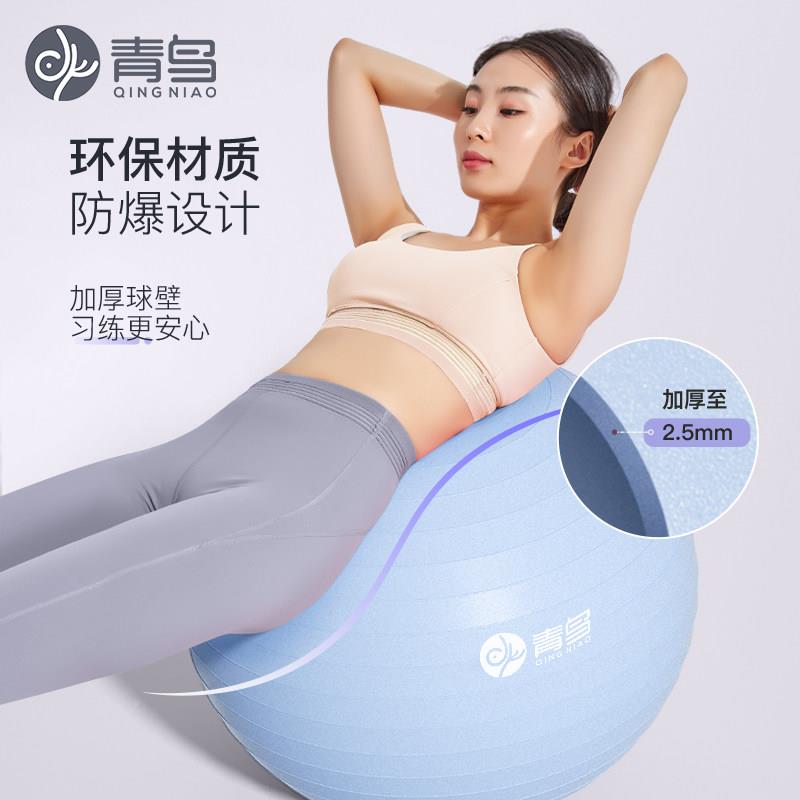 瑜球伽儿童感觉统合练训大龙球孕妇专用助产按摩加厚QN-防爆防健