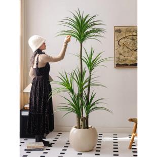 Juhan斯堪的纳维经亚无大障碍豪华模拟绿色植物龙血树型落地式盆