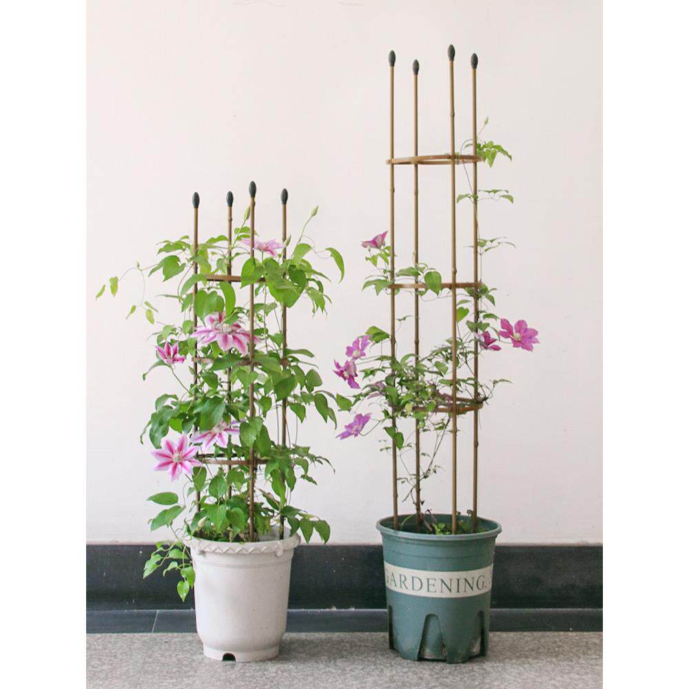 铁艺QSW花支架彷竹子柱包塑钢管植物藤支撑架月季铁莲线攀藤支架