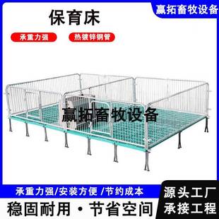 厂家现货保育床猪场小猪保育全复合板加厚保育床热镀锌挡板产床