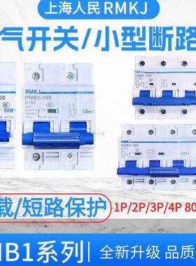 上海人民NC空开小型断路器DZ47-125A 1P2P3P4PD100A空气开关DZ158