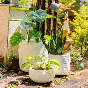 掬涵式透欧白TC40237色镁泥带孔花盆吸水饰绿植盆栽花器客气厅阳