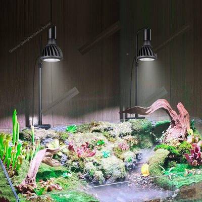谱联天下全NCZ光植物生子长灯鱼缸夹射灯微景观多肉仙光人球水草