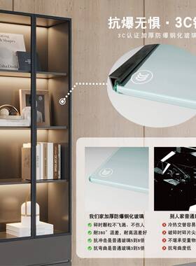 物玻璃门柜带门落地置柜电视柜旁物边展示柜客厅木柜储柜立DM-SY-