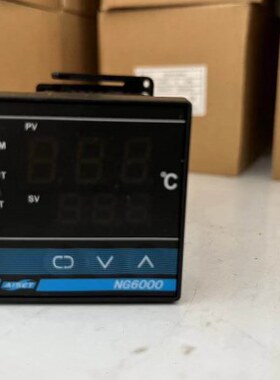 上海亚泰仪表 温控仪器 NG6000 NG-6411 NG-6411V-2D(N) NG-6412V