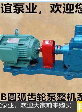 包邮圆弧齿轮油泵YCB12/0.6 柴油泵增压泵 自吸泵 齿轮油泵整机